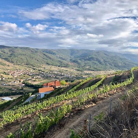 Quinta Da Penada - Vineyard & Winery - Suite 3 Кавес Екстериор снимка