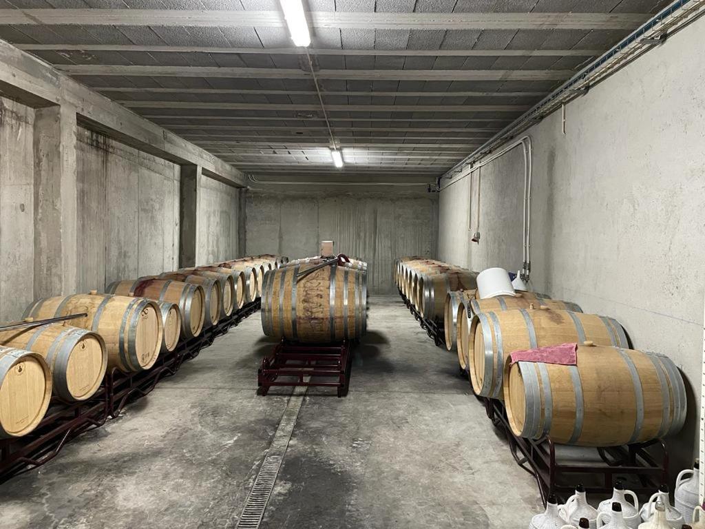 Quinta Da Penada - Vineyard & Winery - Suite 3 Кавес Екстериор снимка