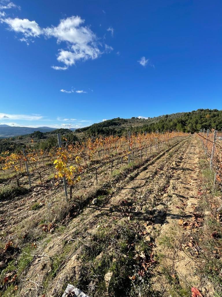 Quinta Da Penada - Vineyard & Winery - Suite 3 Кавес Екстериор снимка