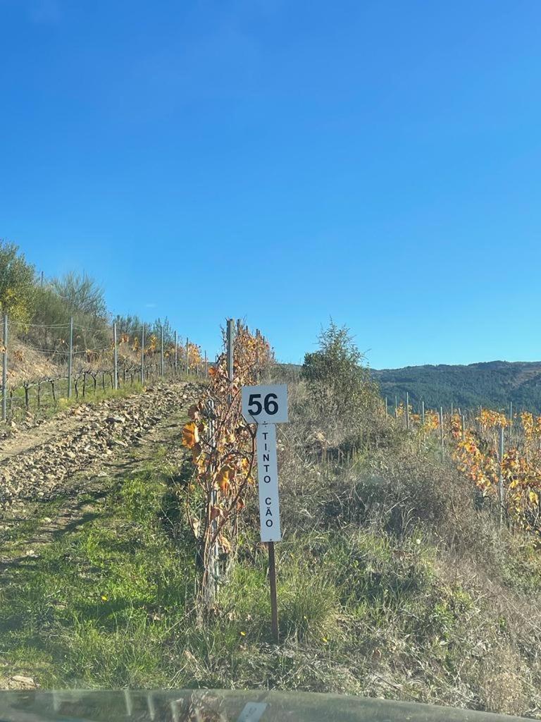 Quinta Da Penada - Vineyard & Winery - Suite 3 Кавес Екстериор снимка