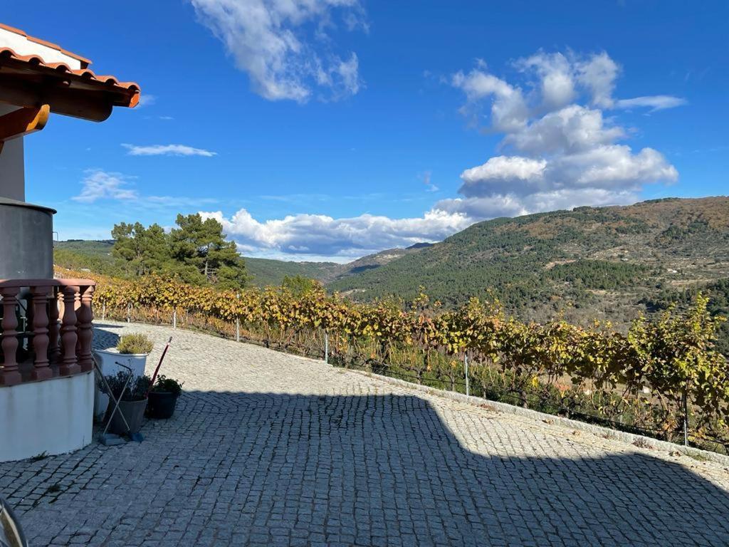 Quinta Da Penada - Vineyard & Winery - Suite 3 Кавес Екстериор снимка